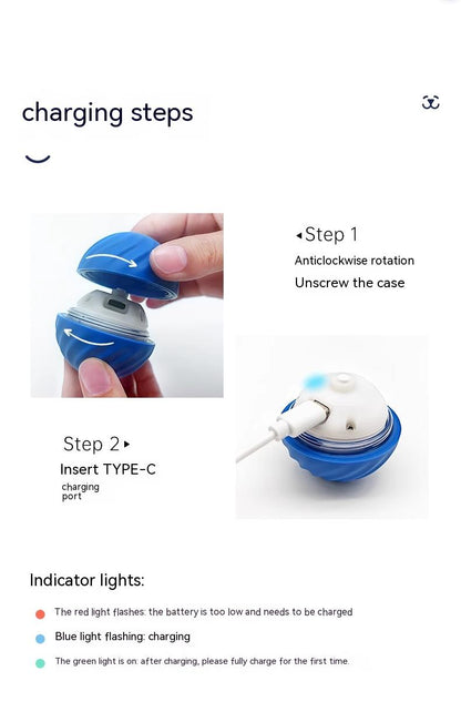 Interactive Automatic Bouncy Dog Ball Toy